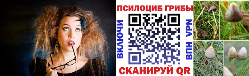 Псилоцибиновые грибы мухоморы  Пласт 